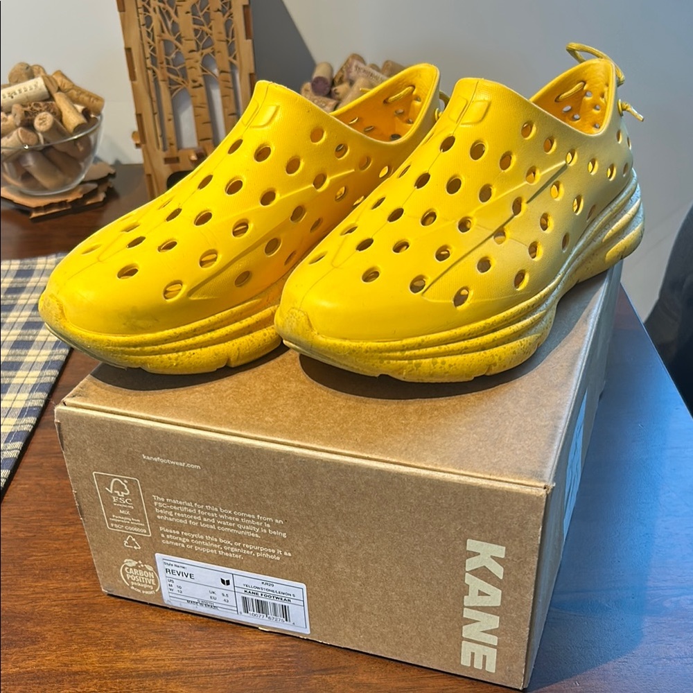 Kane Revive Shoes